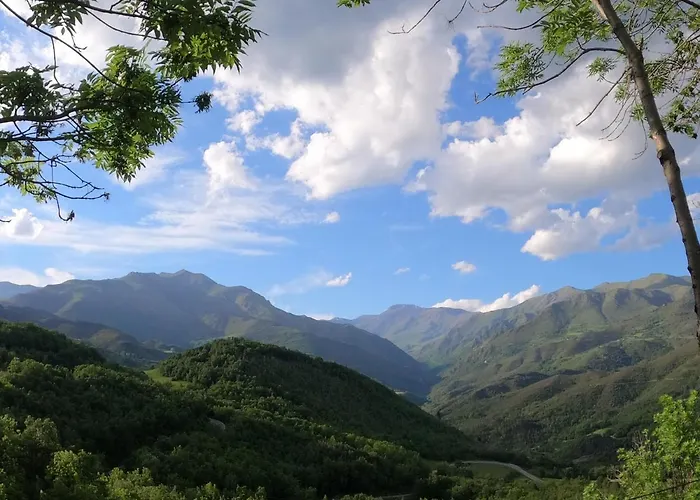 Farrai Llova * Seniu